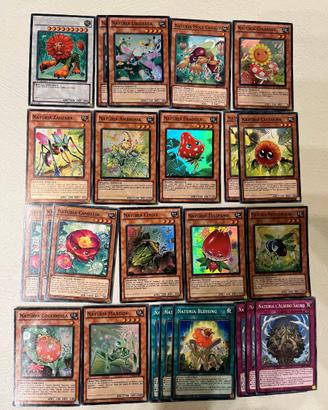Lotto Yu-Gi-Oh Naturia (Naturia)