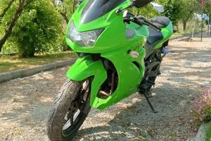 Kawasaki ninja 250R