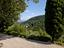 Immagine 11
