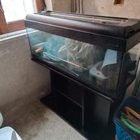Acquario 100L