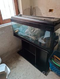 Acquario 100L
