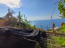 ter-agricolo-a-amalfi