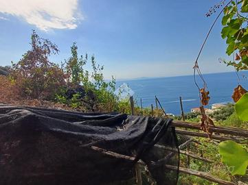 TER. AGRICOLO A AMALFI