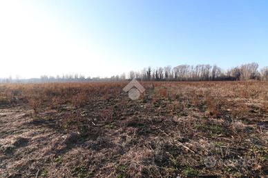 TER. AGRICOLO A MARMIROLO