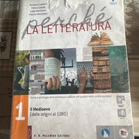 Perchè La Letteratura 1