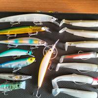 Esche artificiali spigola