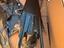 Immagine 6