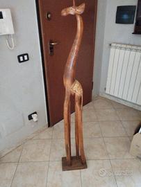 giraffa 