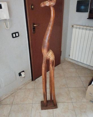 giraffa 