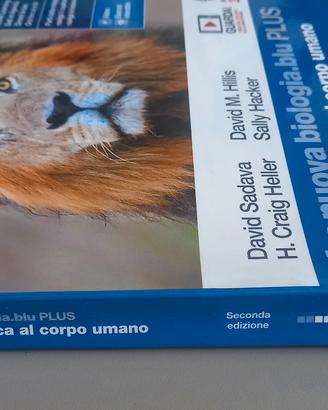 libri liceo 