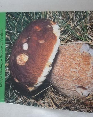 I Funghi delle Valli Orobiche Bergamasche