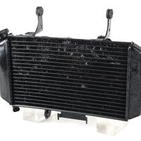Radiatore acqua SUZUKI V Strom 650