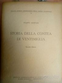 Storia della contea di Ventimiglia