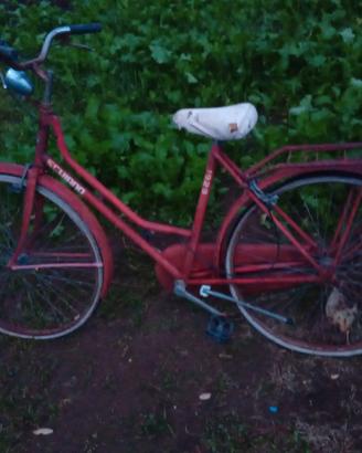 bicicletta di epoca