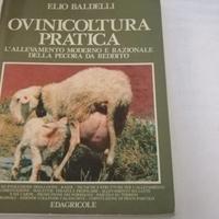 Ovinicoltura Pratica