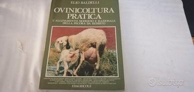 Ovinicoltura Pratica
