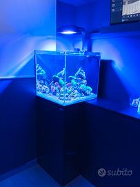 Acquario Marino AQPET Kubic 50x50x50
