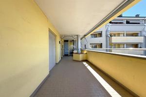 Trilocale con terrazzo di 40 mq. con cantina