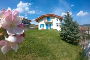 Ampio e luminoso appartamento in Trentino