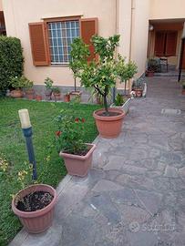 Villino a schiera campagnano di roma