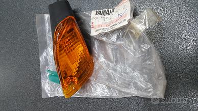 FRECCIA LENTE LAMPEGGIATORE POSTERIORE SINISTRA MB