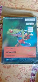 Il Walker- corso di fisica