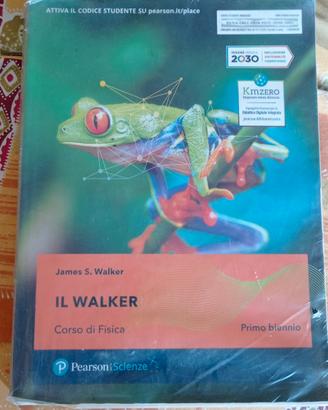Il Walker- corso di fisica