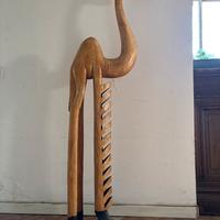 Cammello esotico porta cd.