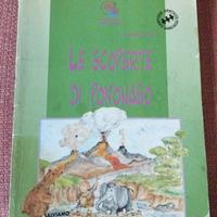 libro di favole (Le scoperte di Pokonaso)