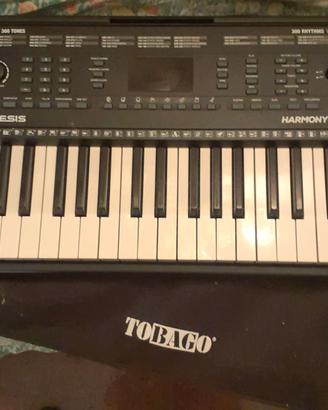 Alesis Harmony 54