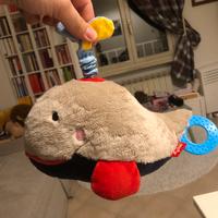 Balena attività Sigikid