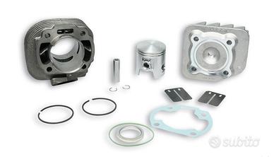 Kit Malossi 317083