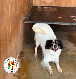 OTIS dal musetto simpatico