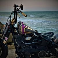 Harley d cross bones a pezzi bobber old school