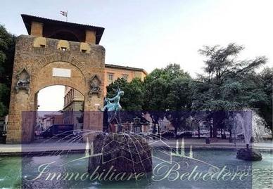 Commerciale a Firenze