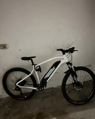 Bici elettrica