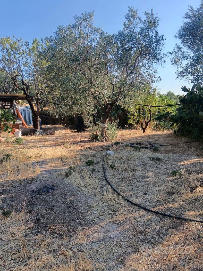Terreno Agricolo Crispiano [Cod. rif 3334098VRG] - Vista 5