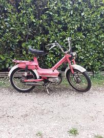 Califfo 50cc