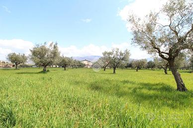 TER. RESIDENZIALE A MONTALTO UFFUGO