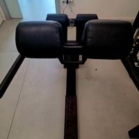 panca lombare Techogym