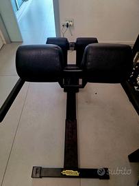 panca lombare Techogym