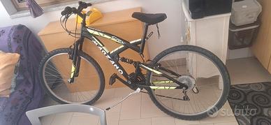 Bicicletta 27