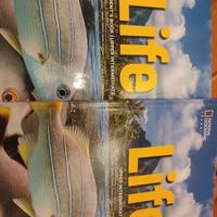 Libro di inglese scuole superiori