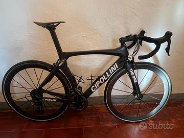 Cipollini the one tg L(56)
