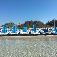 Attività noleggio pedalò