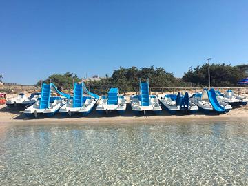 Attività noleggio pedalò