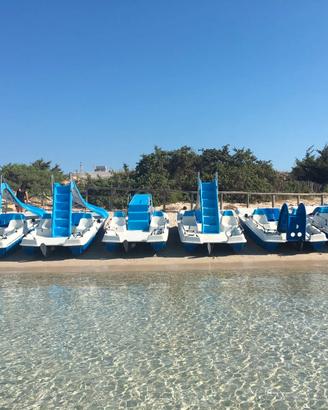 Attività noleggio pedalò