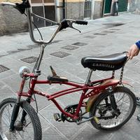 Bici carnielli