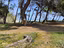 Immagine 26