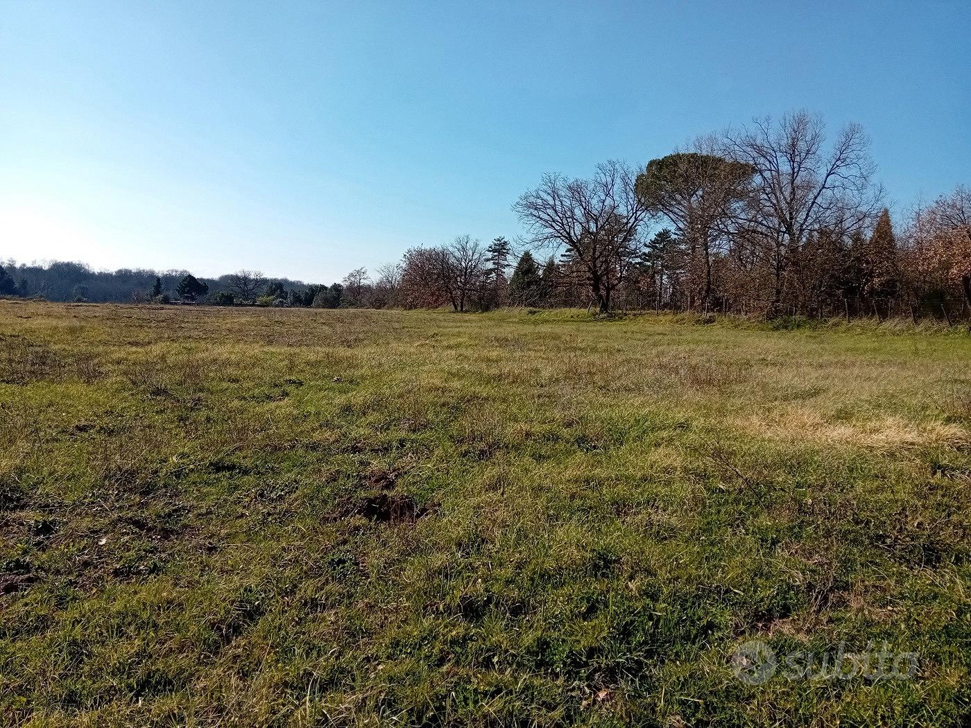 Terreno Residenziale Nepi [Cod. rif 3339933VRG] - Vista 2